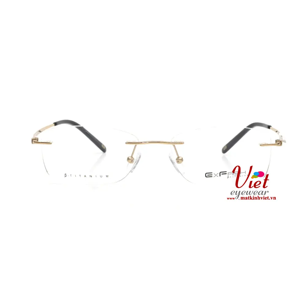 Gọng kính Exfash EF39213T 901