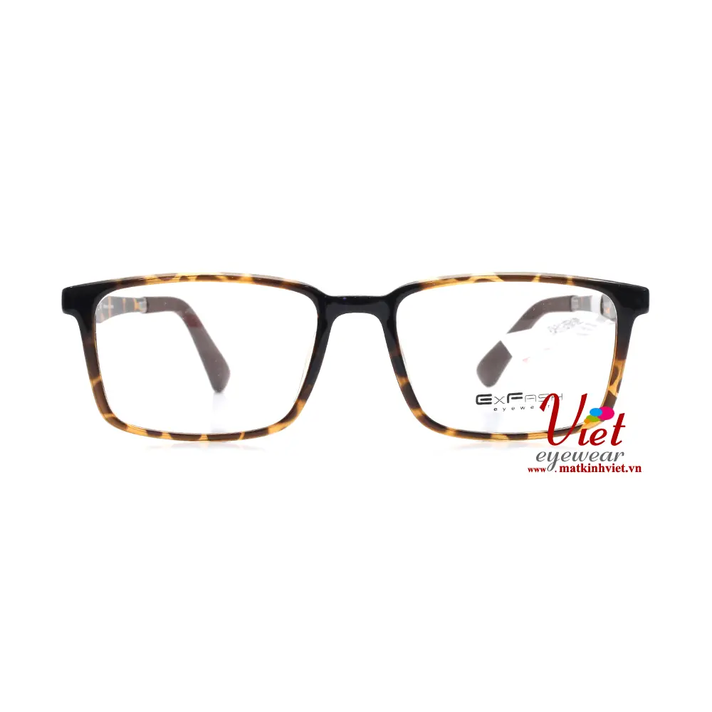 Gọng kính Exfash EF19470 42