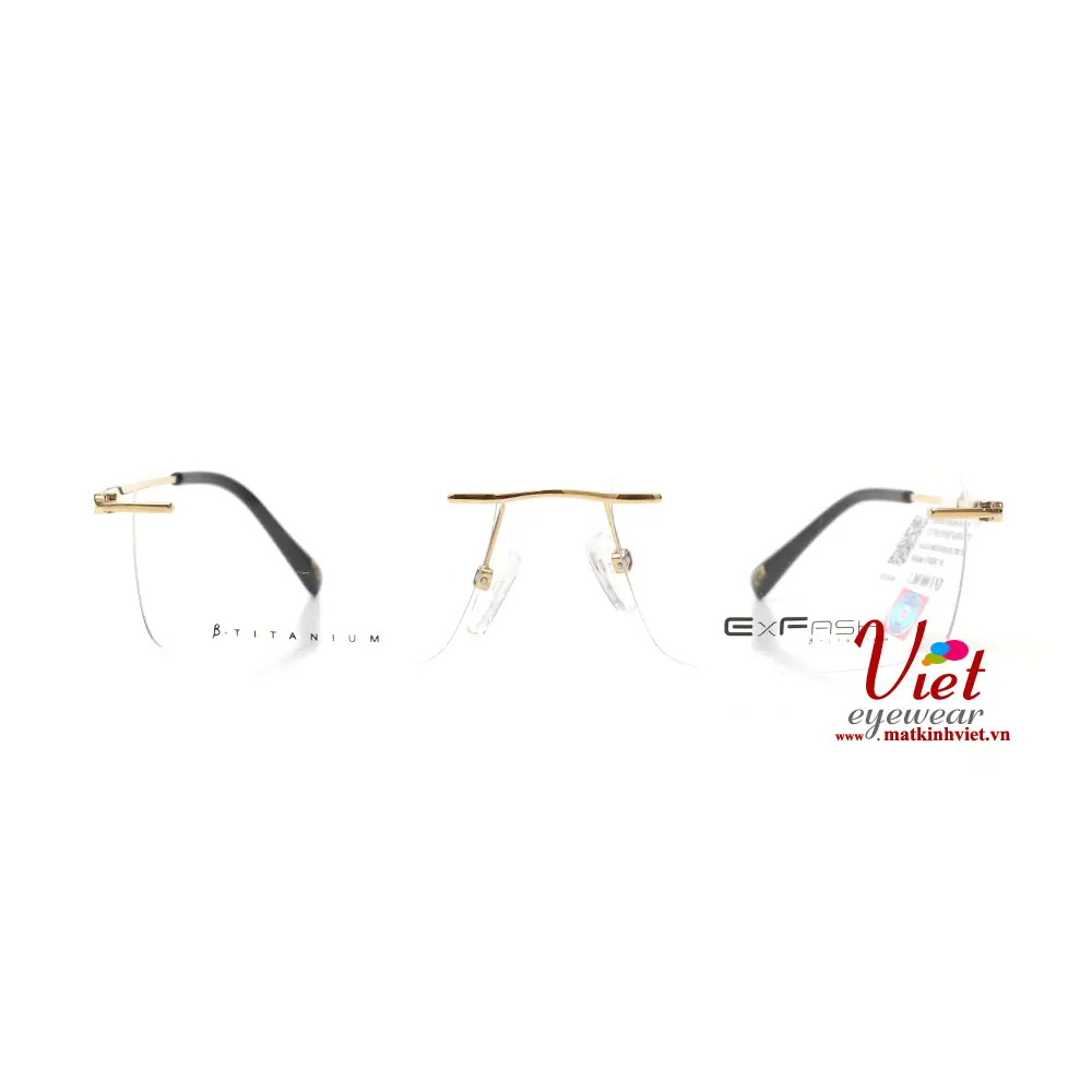 Gọng kính Exfash EF38286T 901