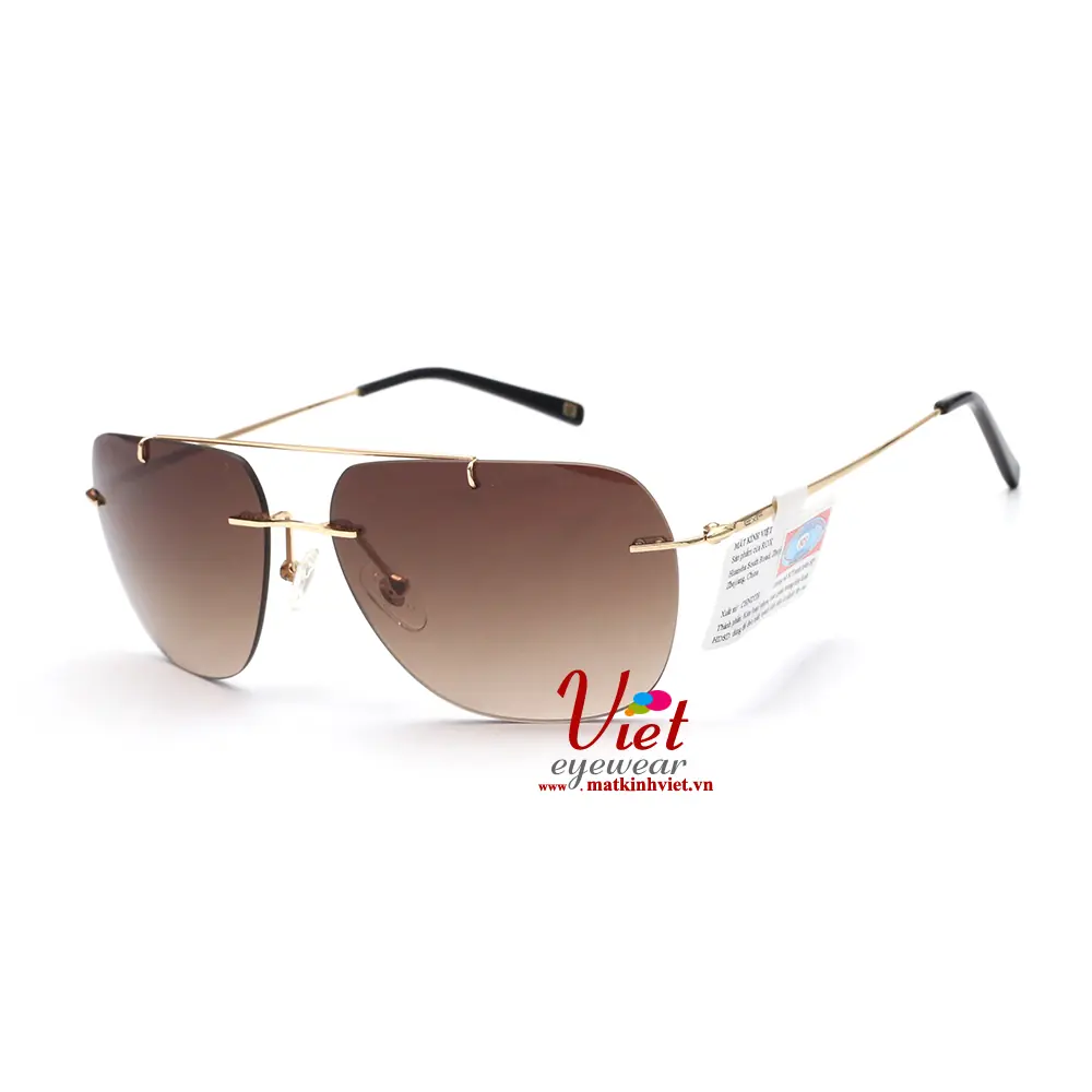 Kính Mát Exfash EF88972 C04