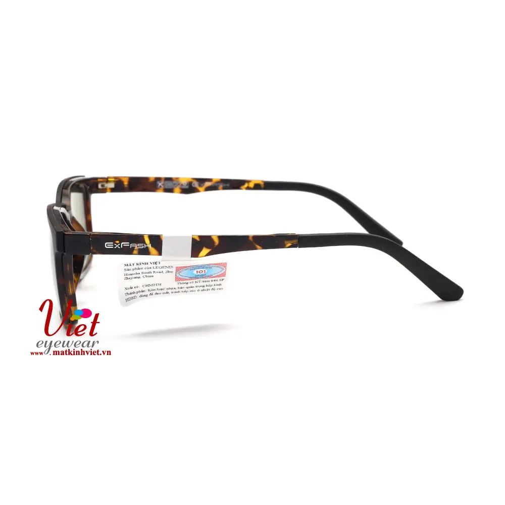 Gọng kính Exfash EF47711 C72