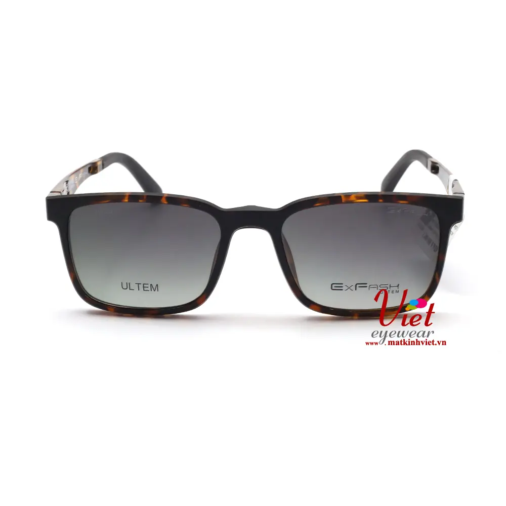 Gọng kính Exfash EF47711 C72