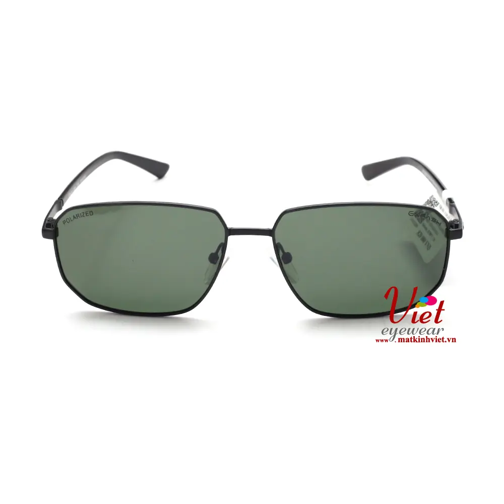 Kính mát Exfash EF38971 C01