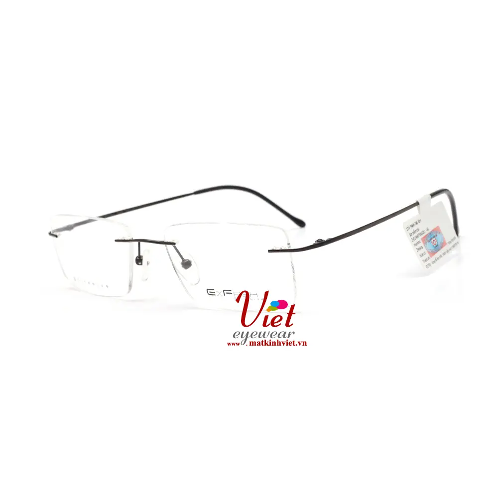 Gọng Kính Exfash EF39211T 838