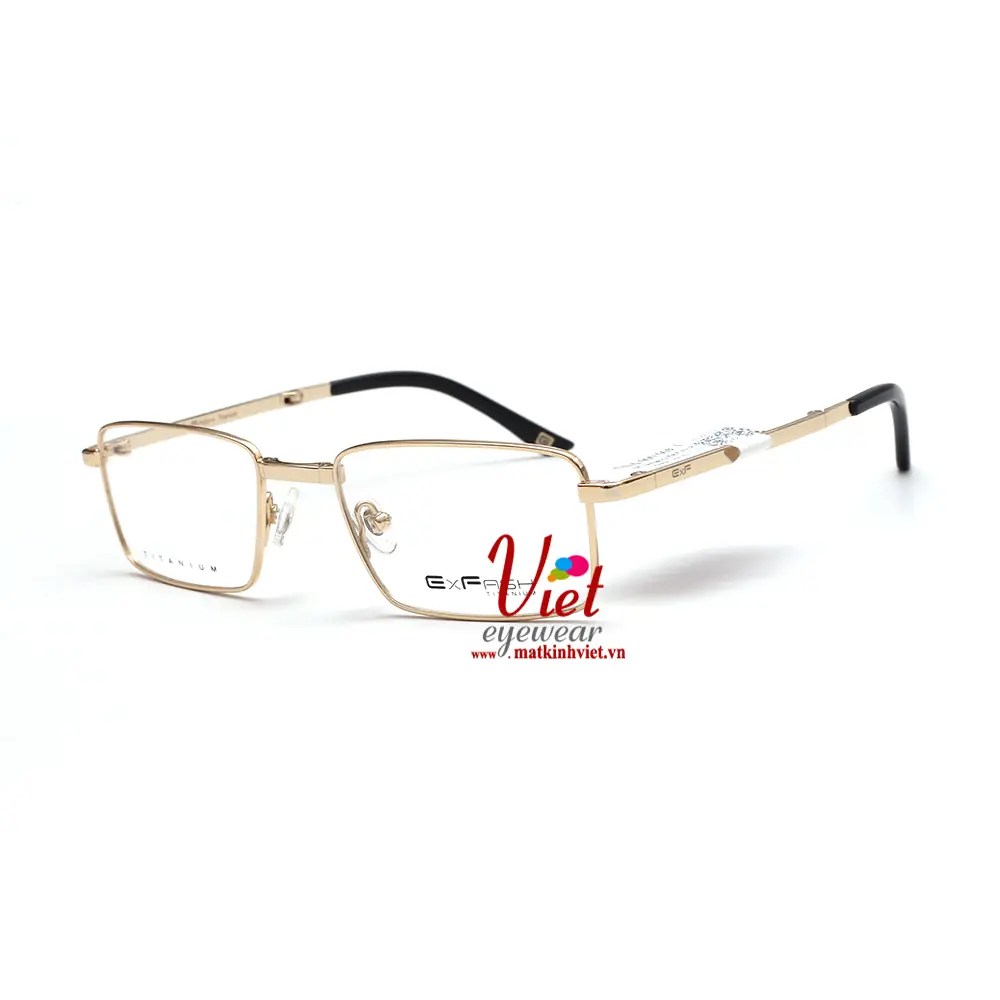 Gọng kính Exfash EF88218T 901