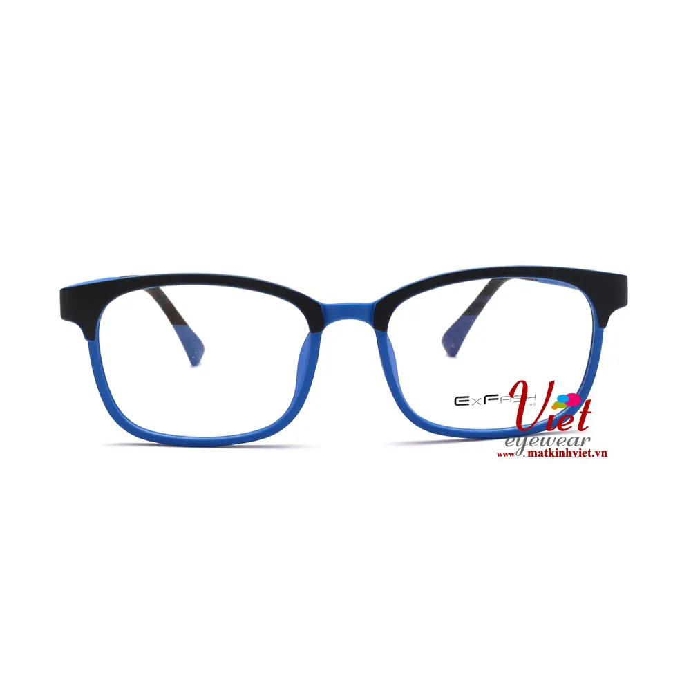 Gọng kính Exfash EF66454 C176