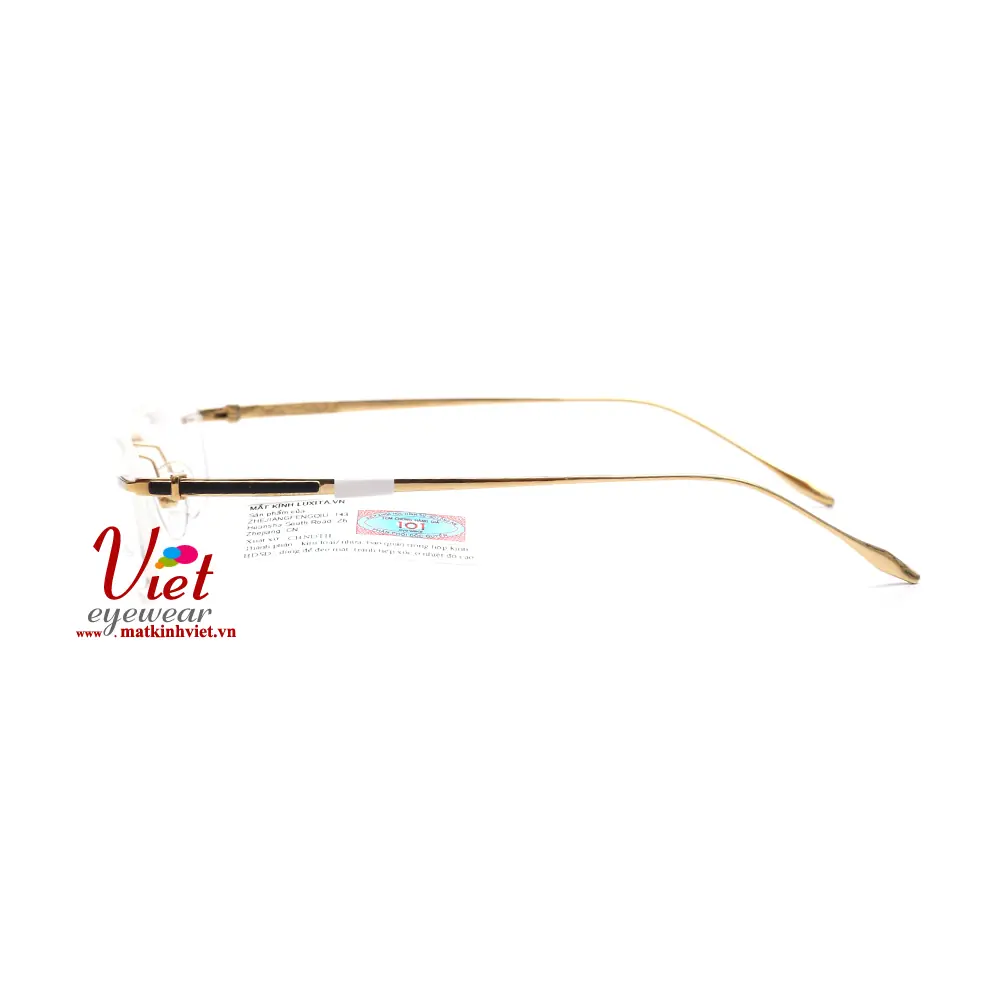 Gọng kính Exfash EF37272T 901
