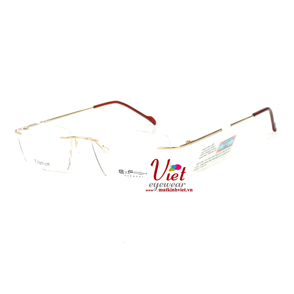 Gọng kính Exfash EF76225T 901