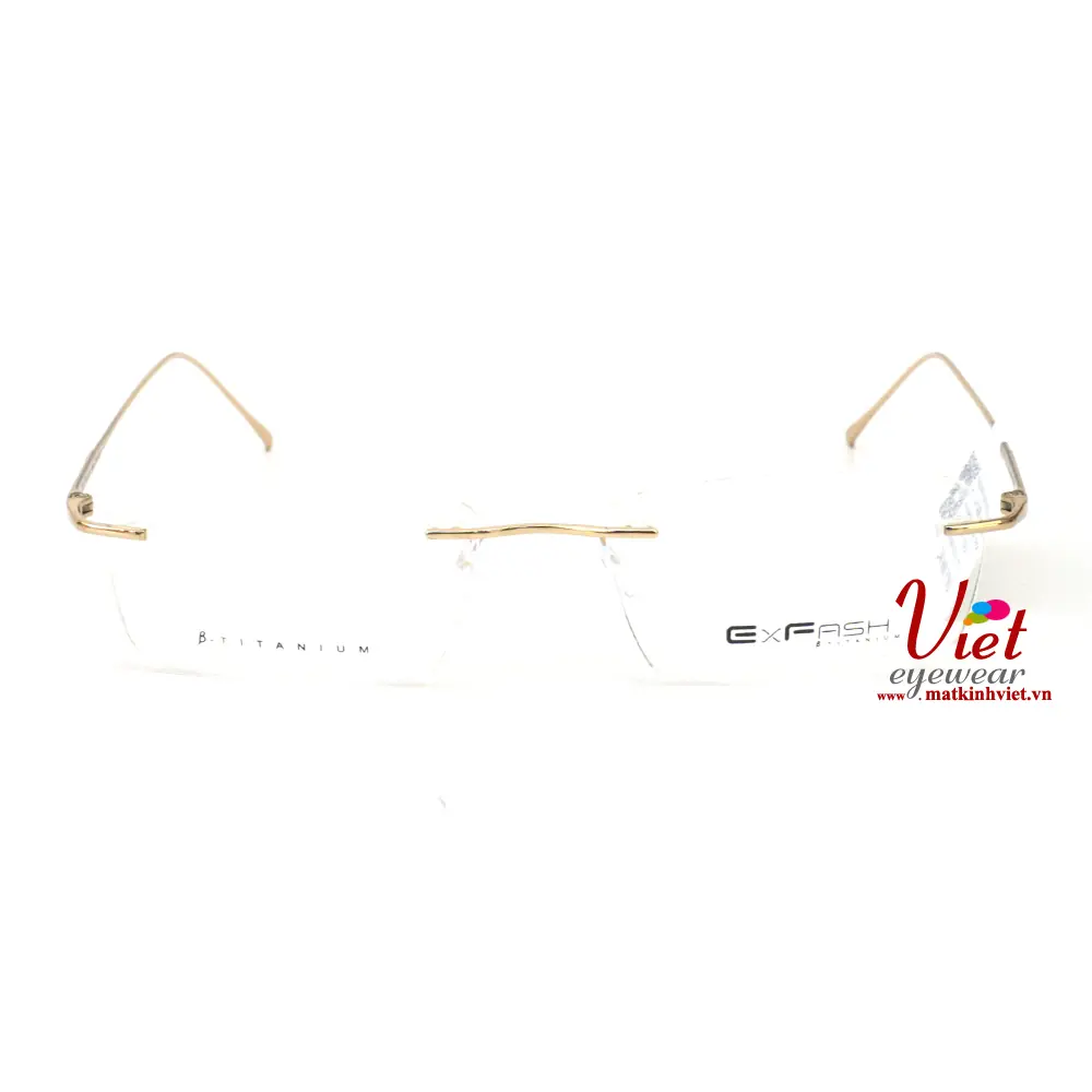 Gọng kính Exfash EF37211 973
