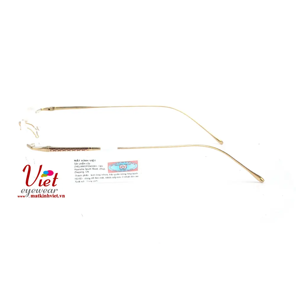 Gọng kính Exfash EF37211 973