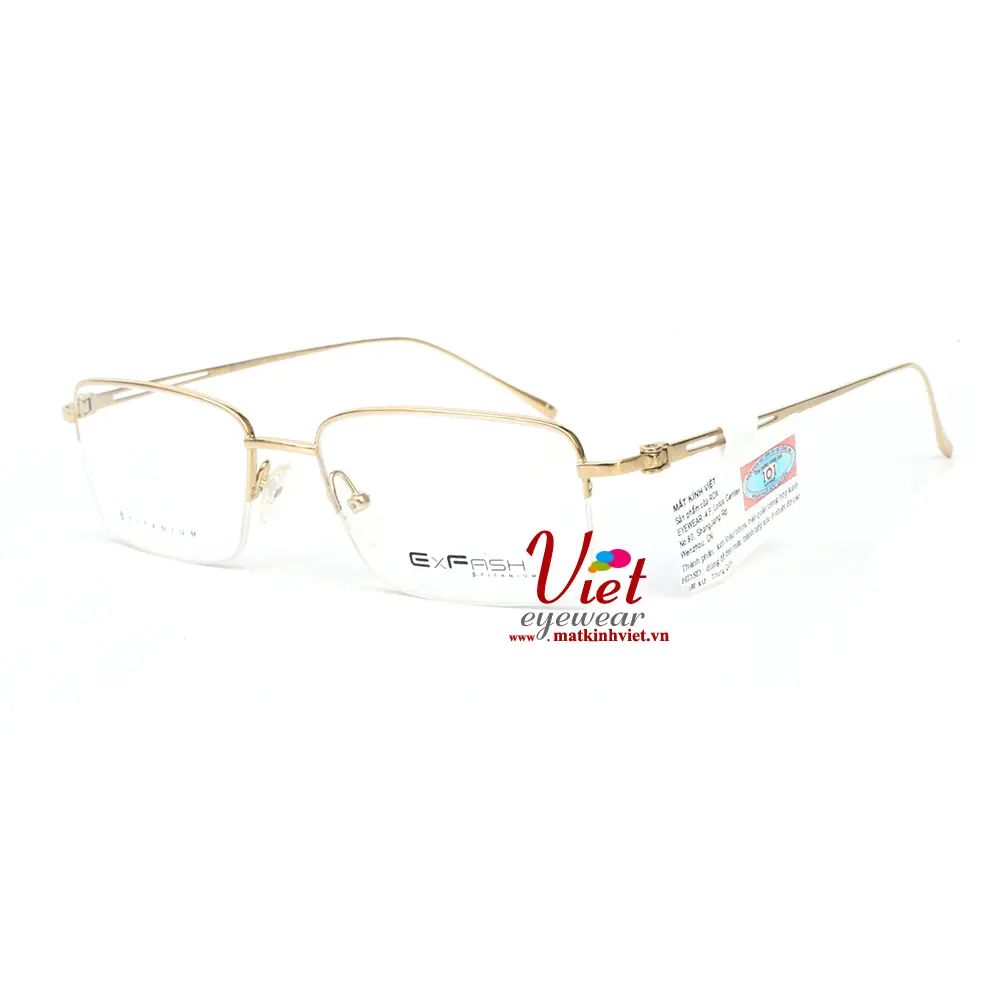 Gọng Kính Exfash EF6219T 901