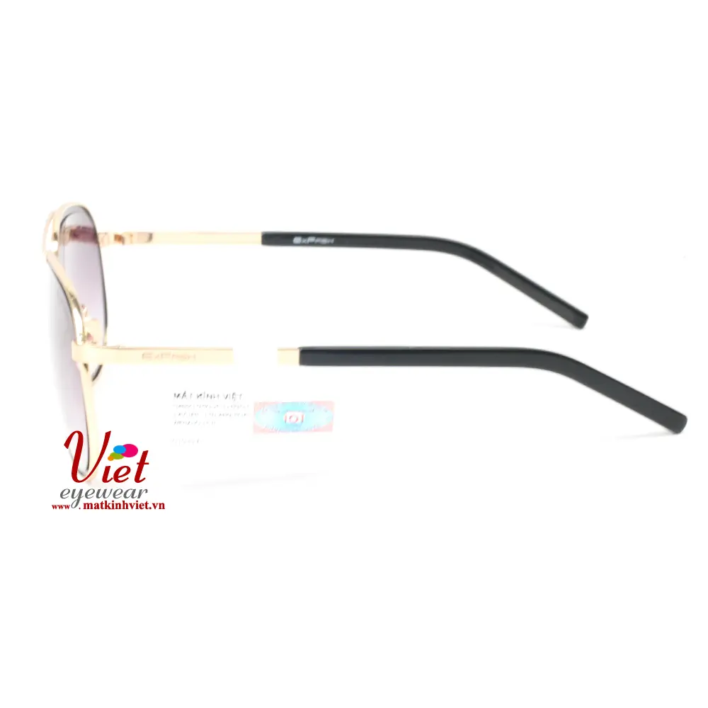 Kính mát Exfash EF6953 9371