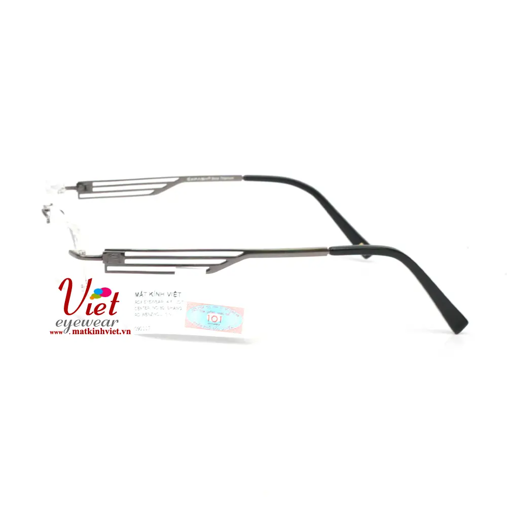Gọng kính Exfash EF1211T 208