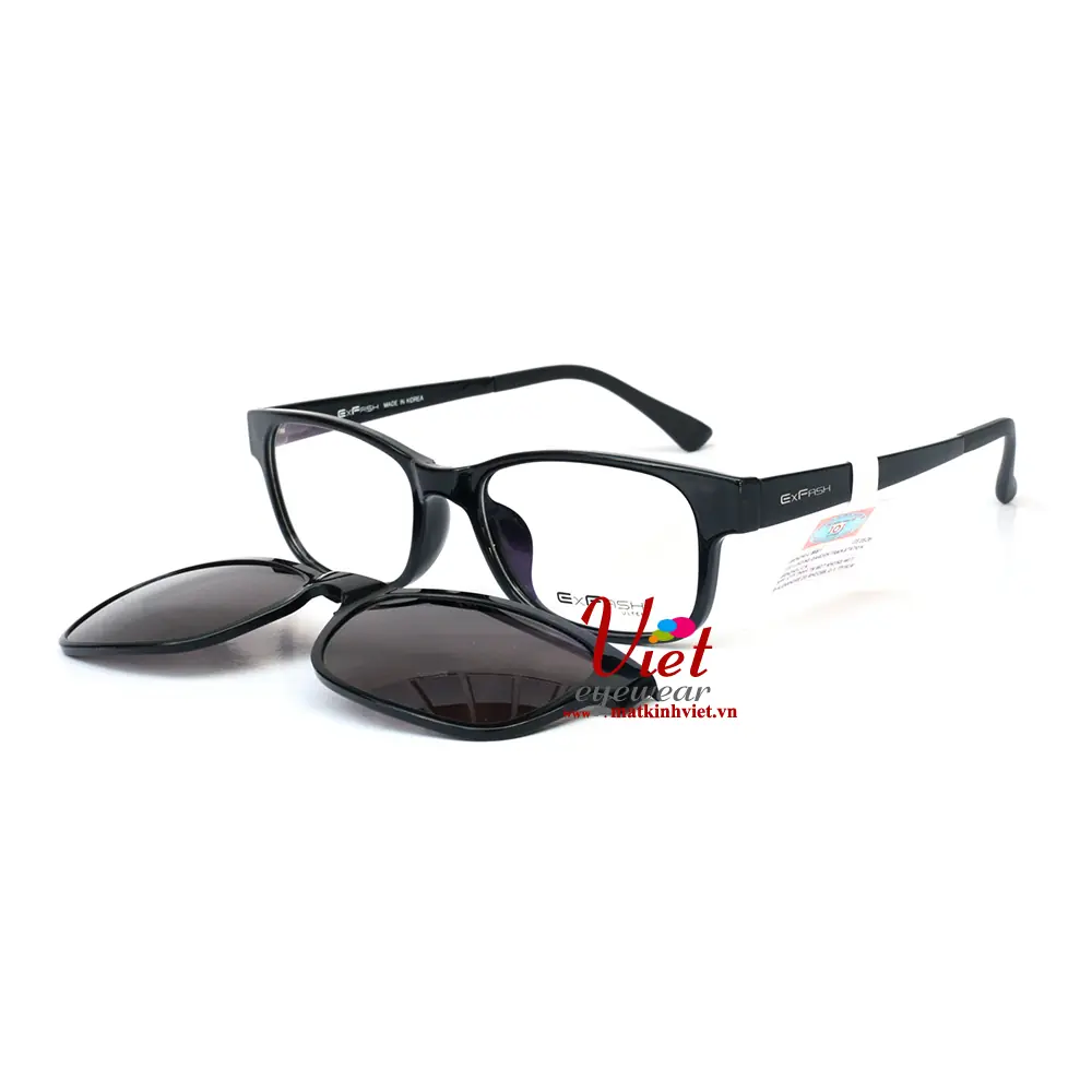 Gọng Kính Exfash EF5474 0016C0012