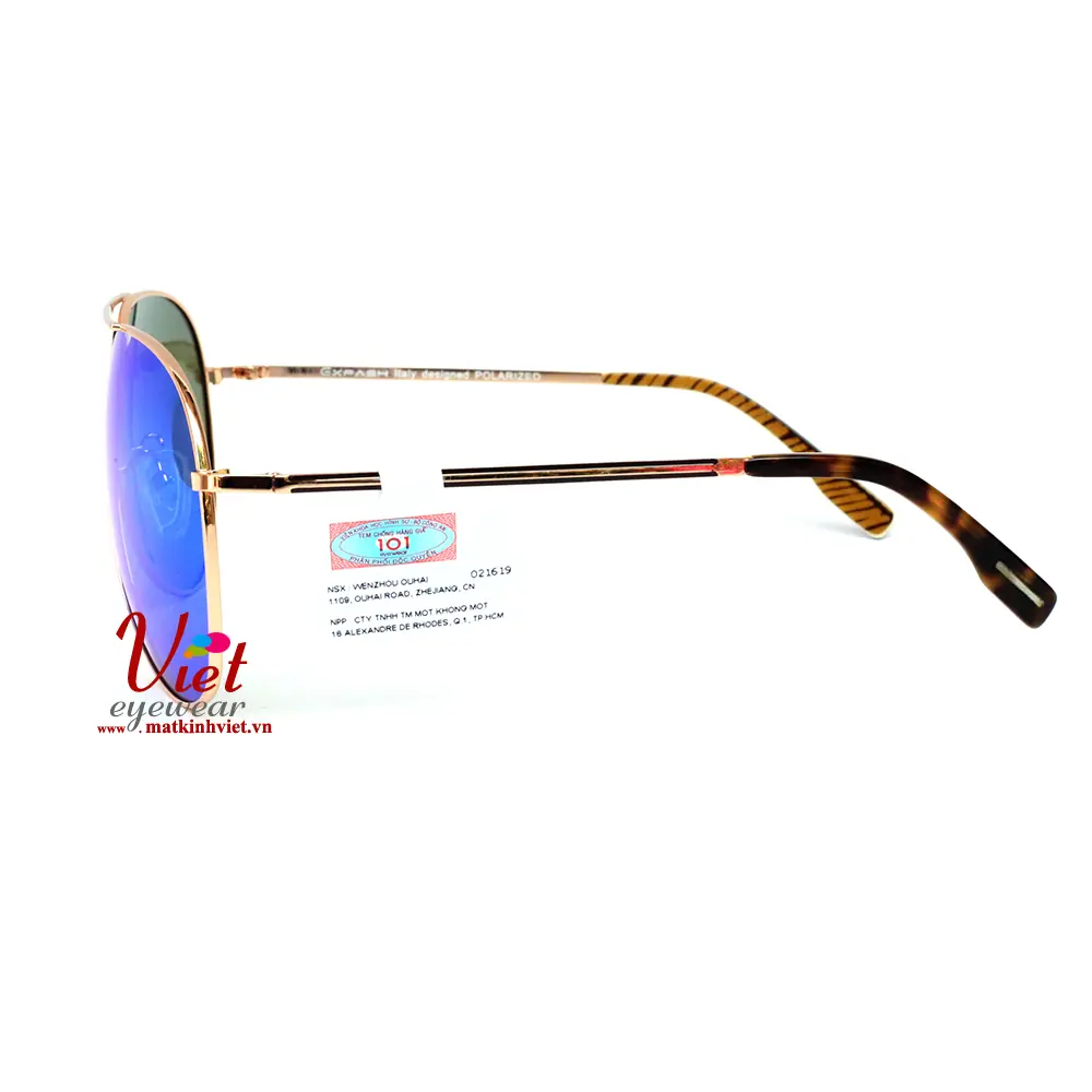 Kính mát Exfash EF5975 C02