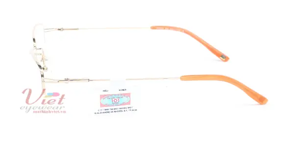 Gọng kính Exfash EF9574 200