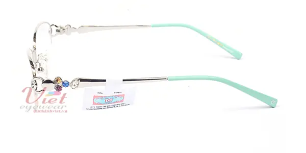 Gọng kính Exfash EF4559 103