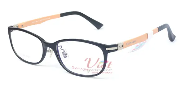 Gọng Kính Exfash EF3413 980
