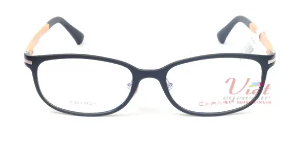 Gọng kính Exfash EF3413 980