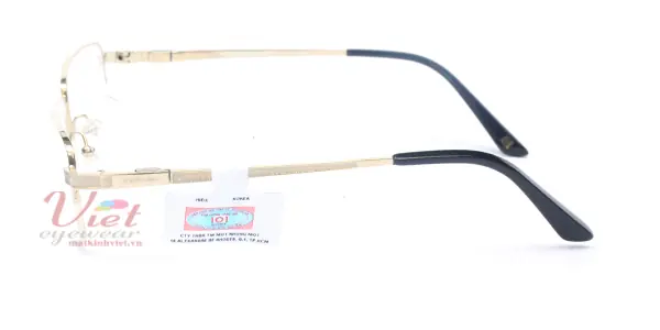 Gọng kính Exfash EF3281T 202