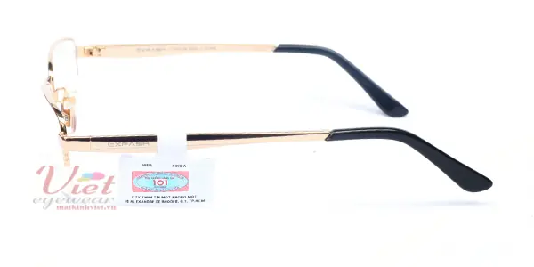 Gọng kính Exfash EF2280T 202