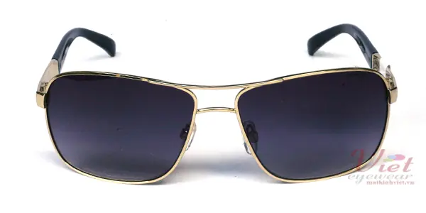 Kính mát Exfash EF2978 229C
