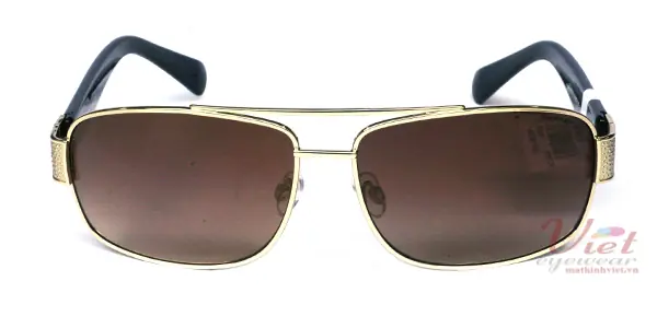 Kính mát Exfash EF2977 229D