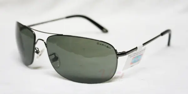 Kính mát Exfash EF2973 204