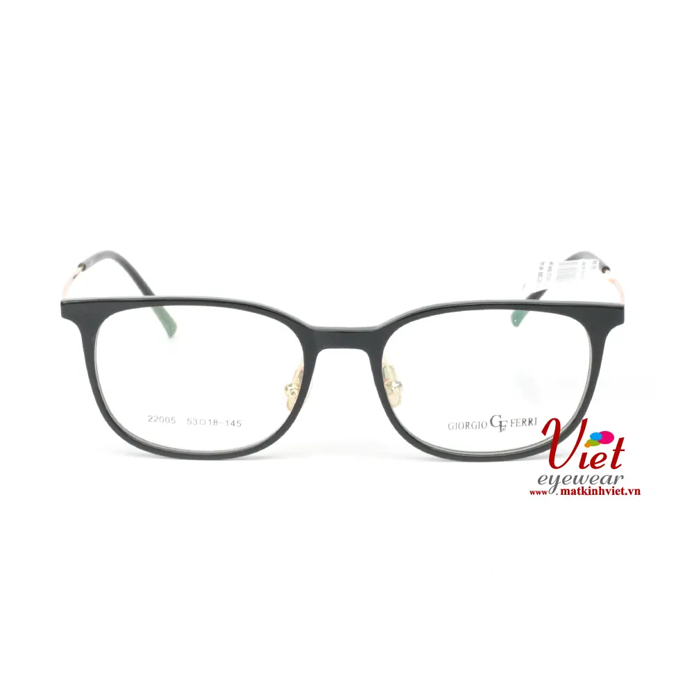 Gọng kính GiorgioFerri GF22005 C1