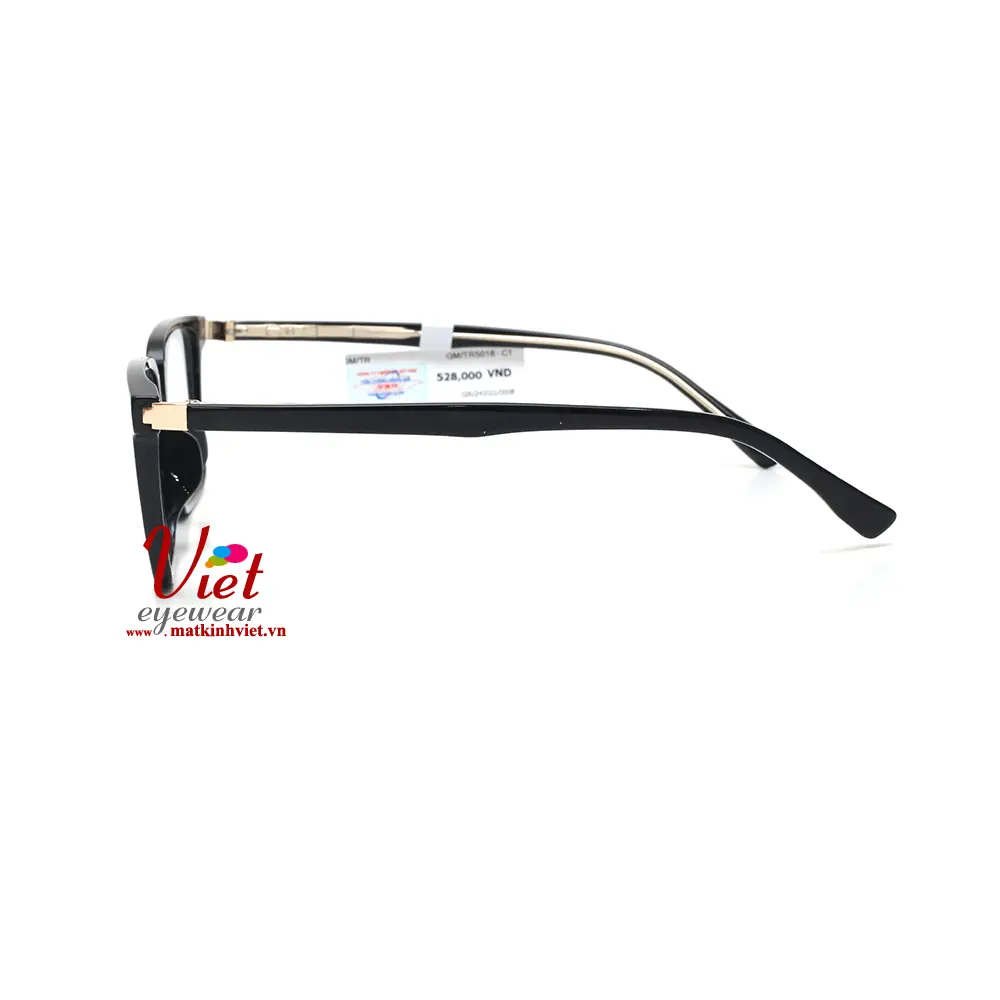 Gọng kính G.M Surne G5016 C1
