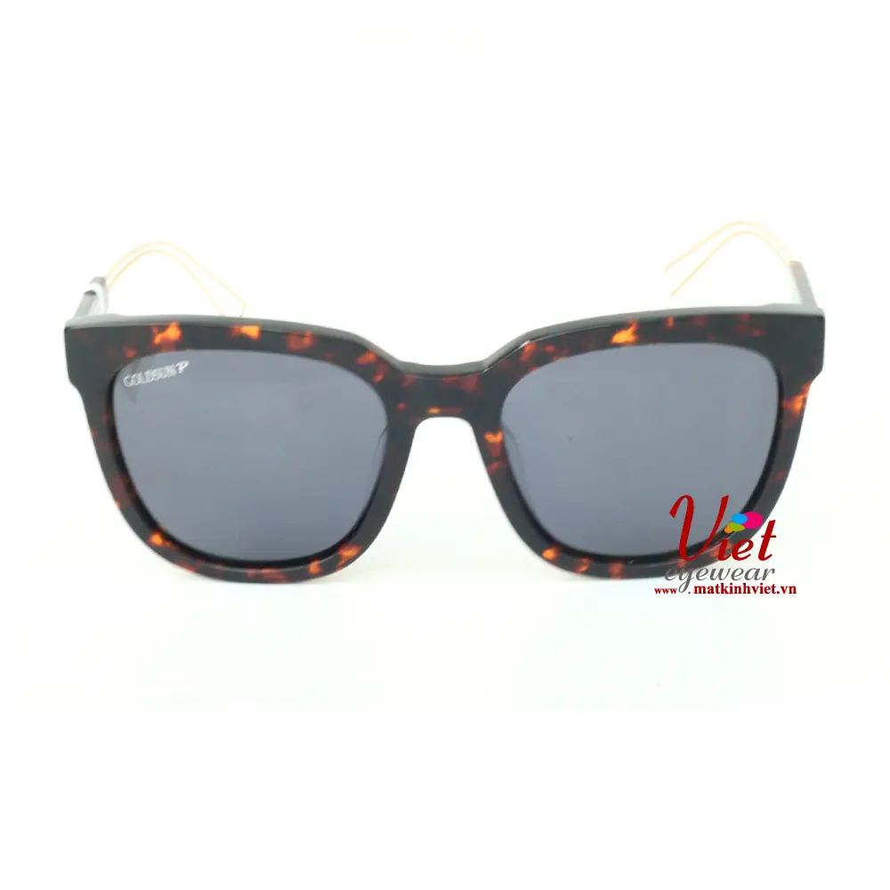 Kính mát Goldsun VNGS217054 D8