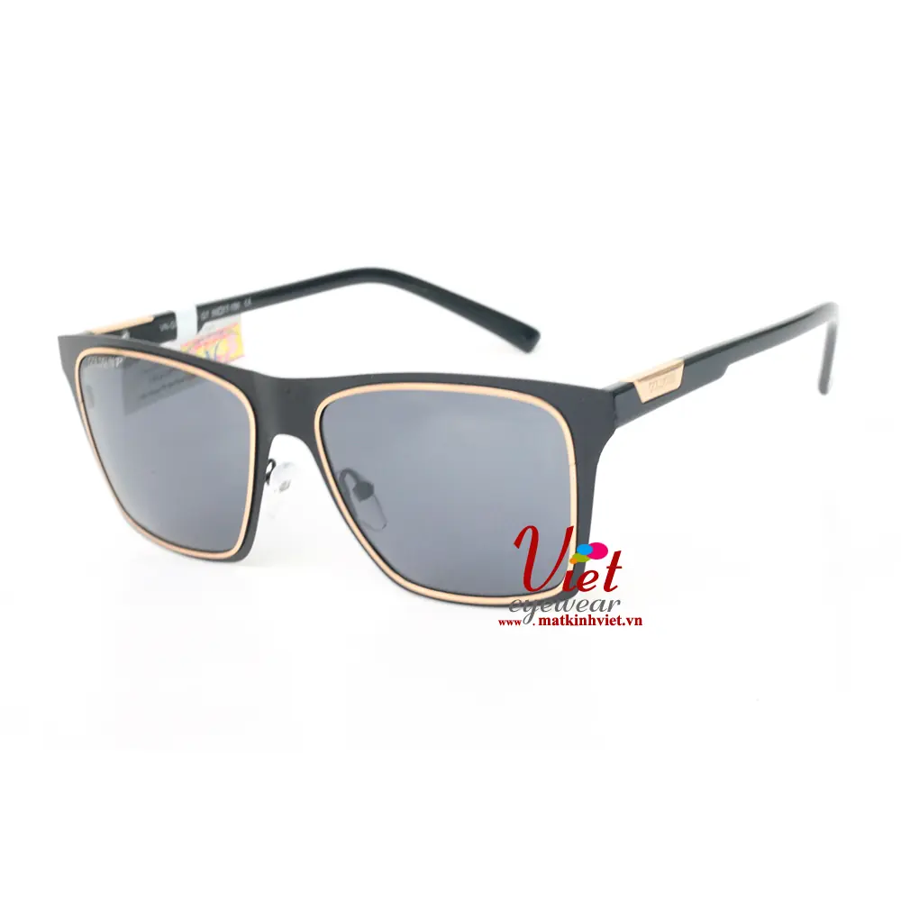 Kính Mát Goldsun VNGS217025 G7