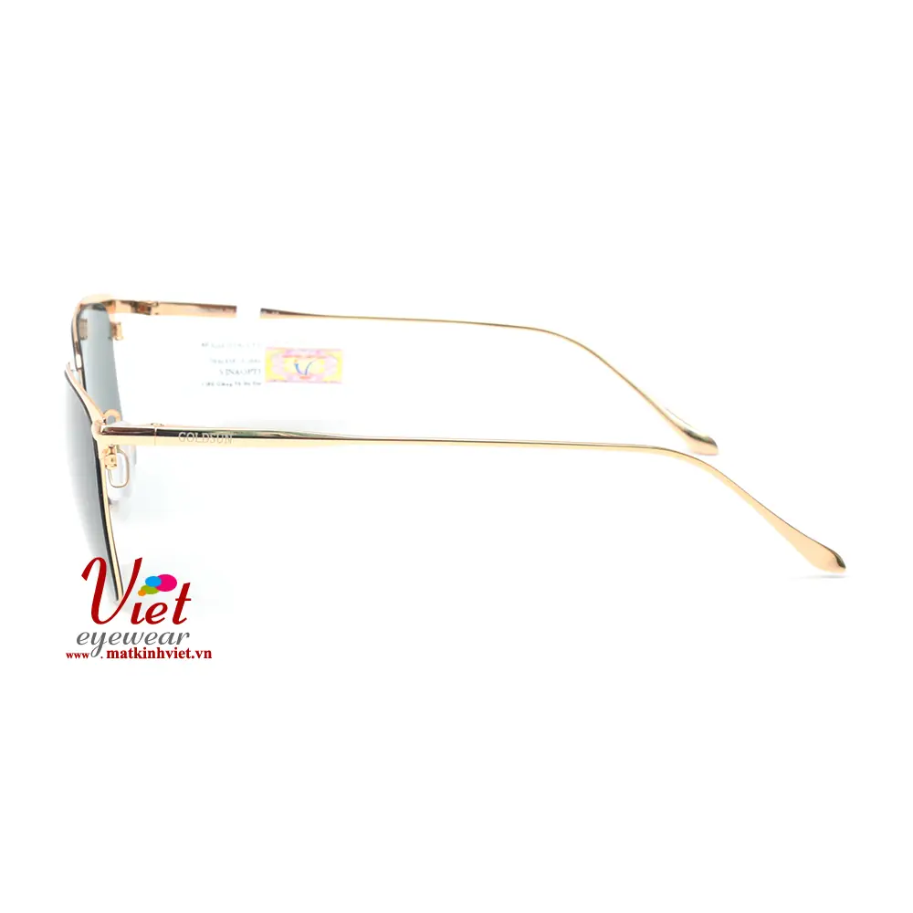 Kính mát Goldsun VNGS217013 D7