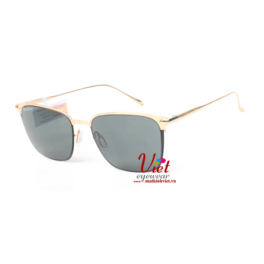 Kính mát Goldsun VNGS217013 D7