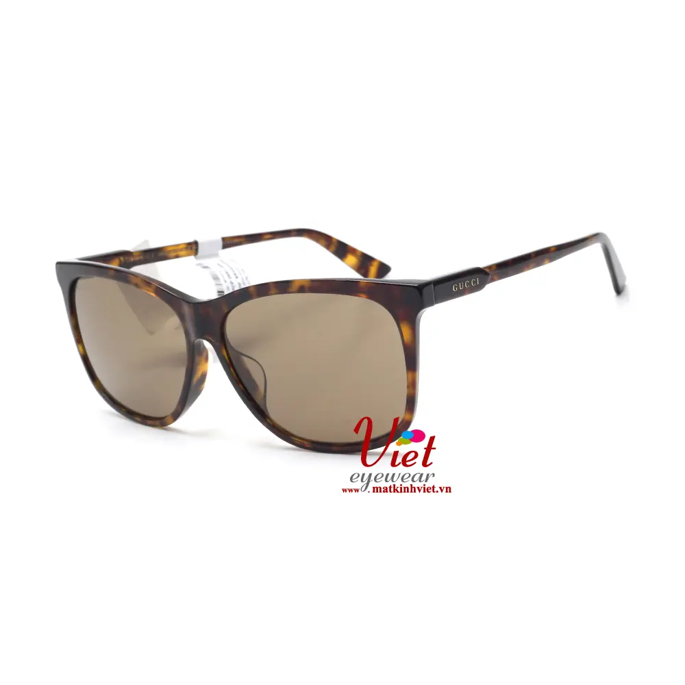 Kính Mát Gucci GG0495SA 002