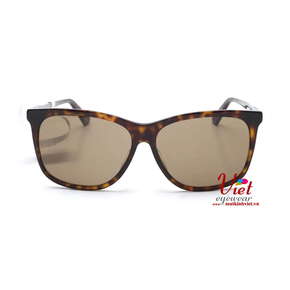 Kính mát Gucci GG0495SA 002