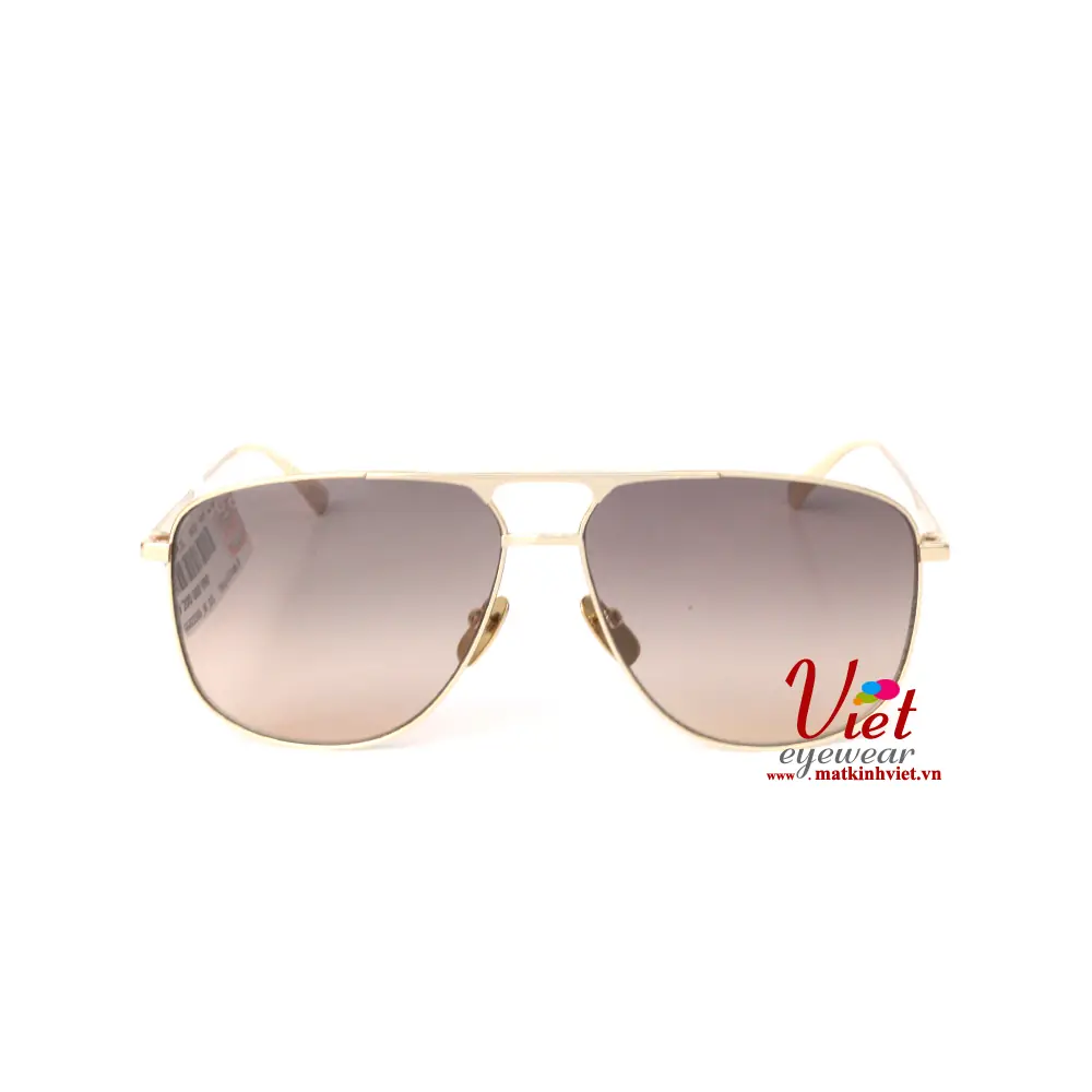 Kính mát Gucci GG0336DS 001