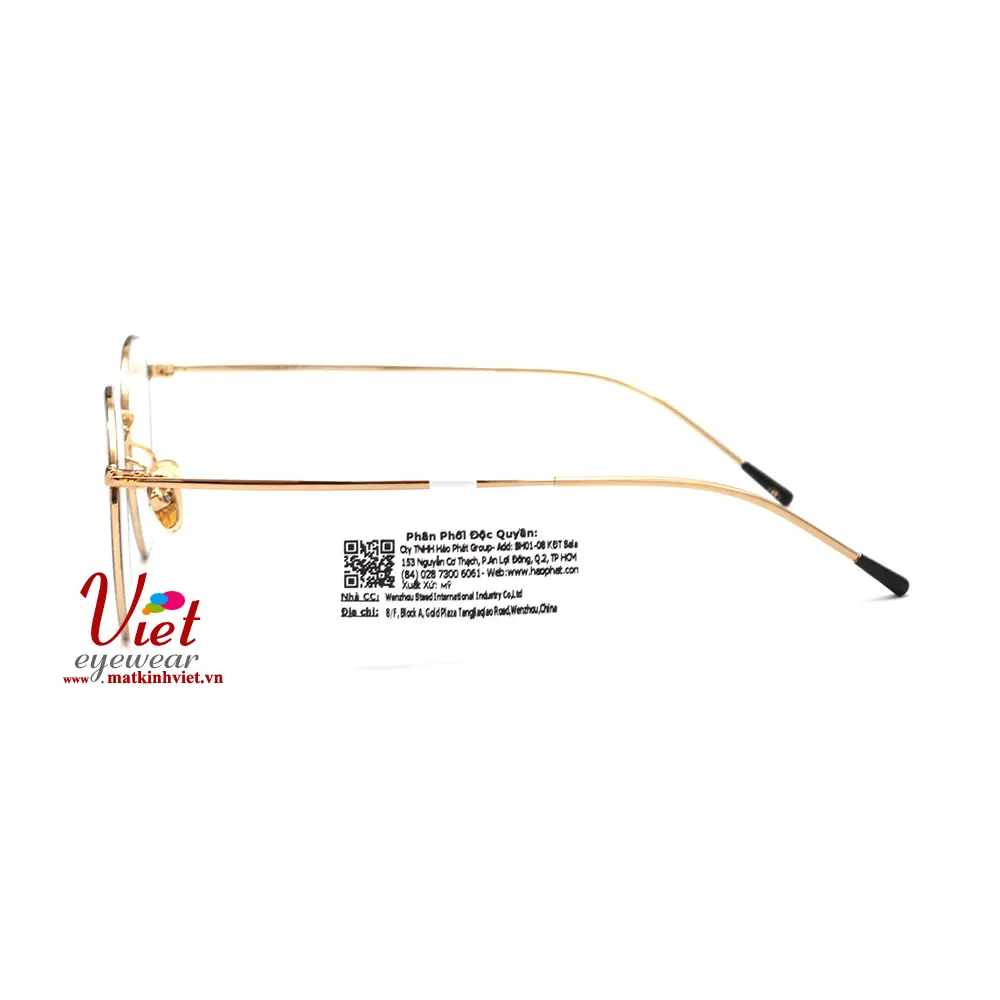 Gọng kính HANGTEN HT80150 C3