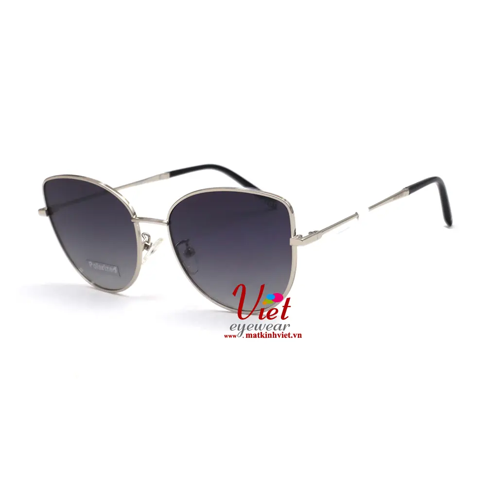 Kính mát HANGTEN HT80124 C2