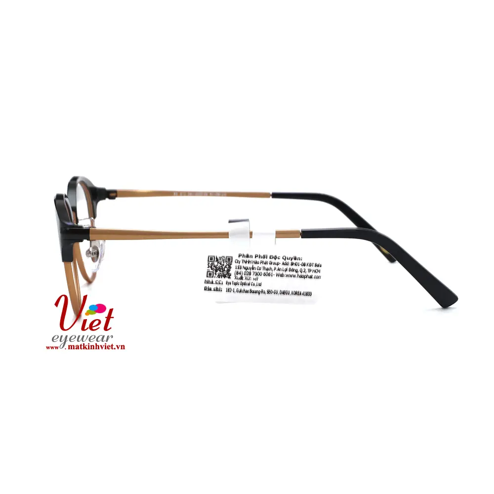 Gọng kính HANGTEN HT80119 C2