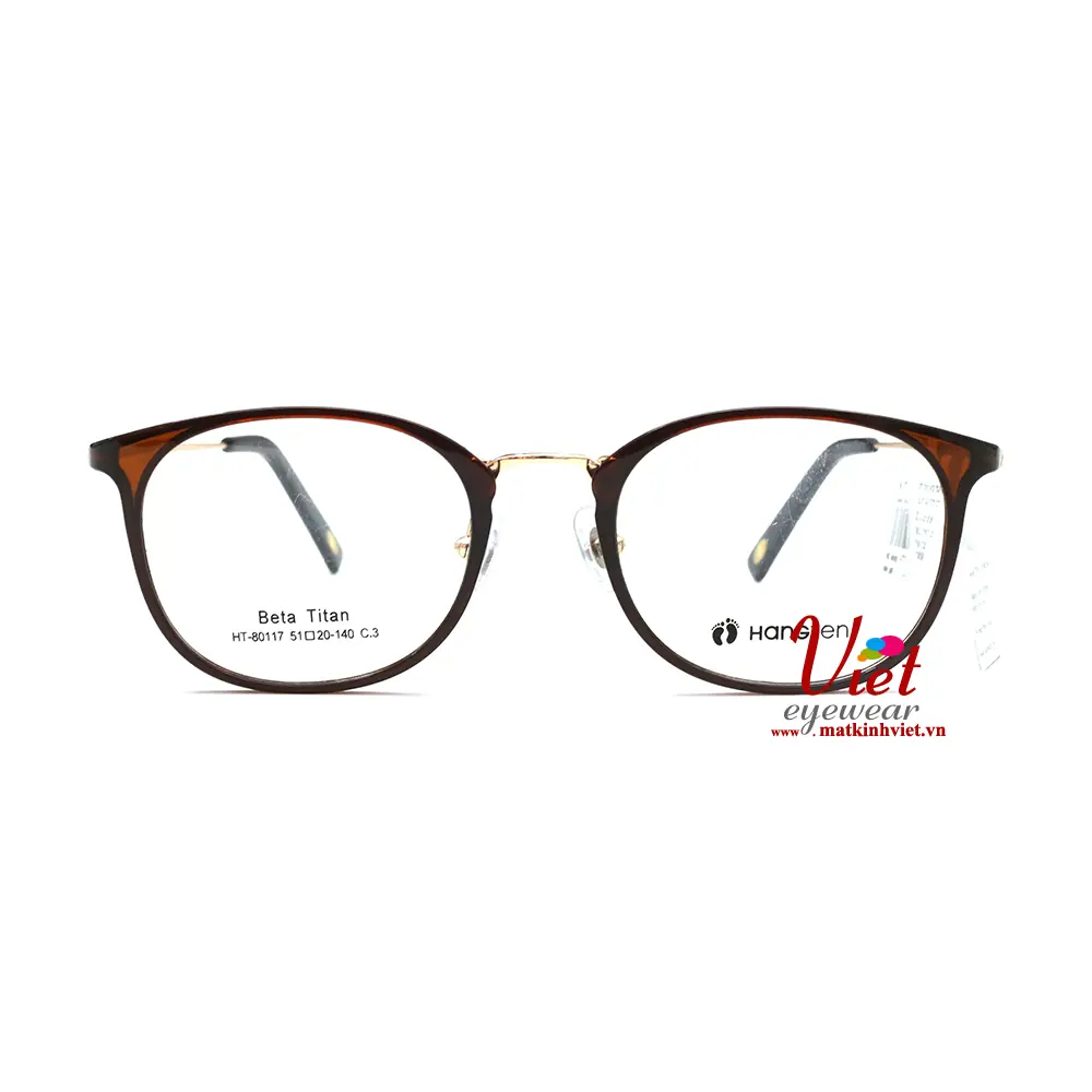 Gọng kính HANGTEN HT80117 C3