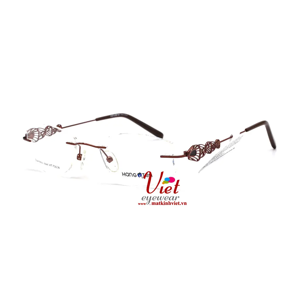 Gọng Kính HANGTEN HT70638 C3