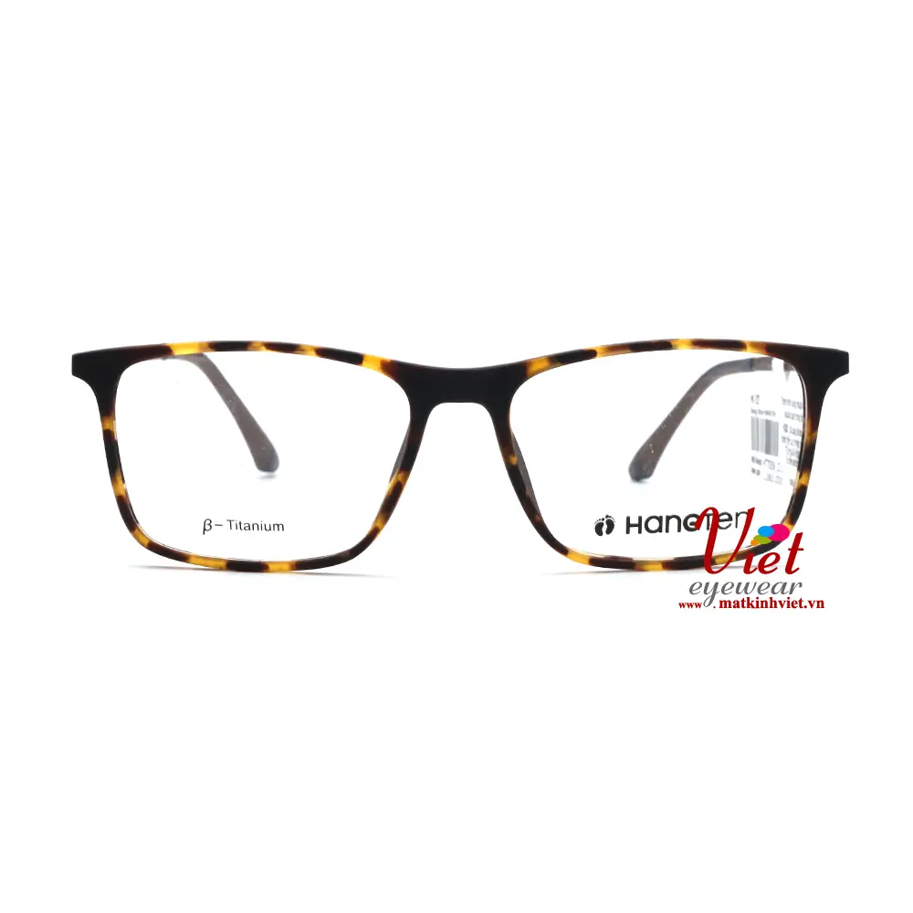 Gọng kính HANGTEN HT70506 C3