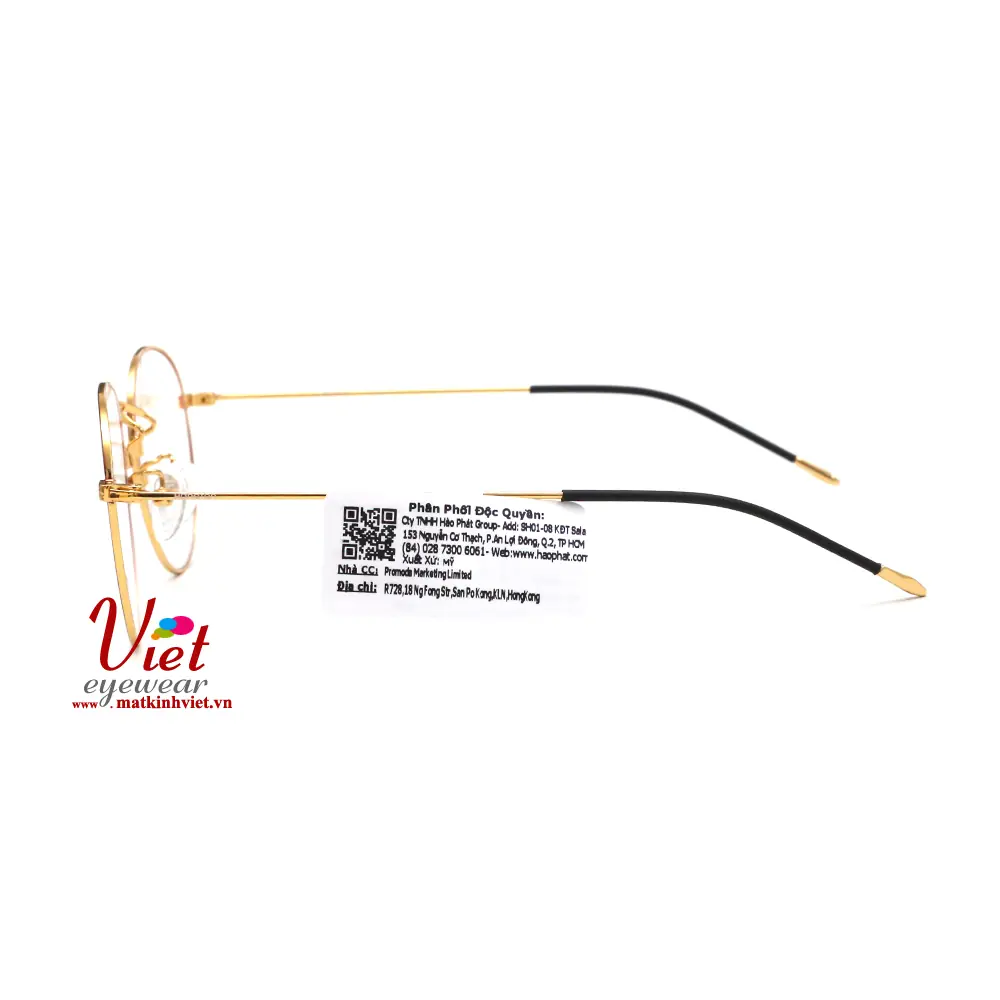 Gọng kính HANGTEN HT10169 C6