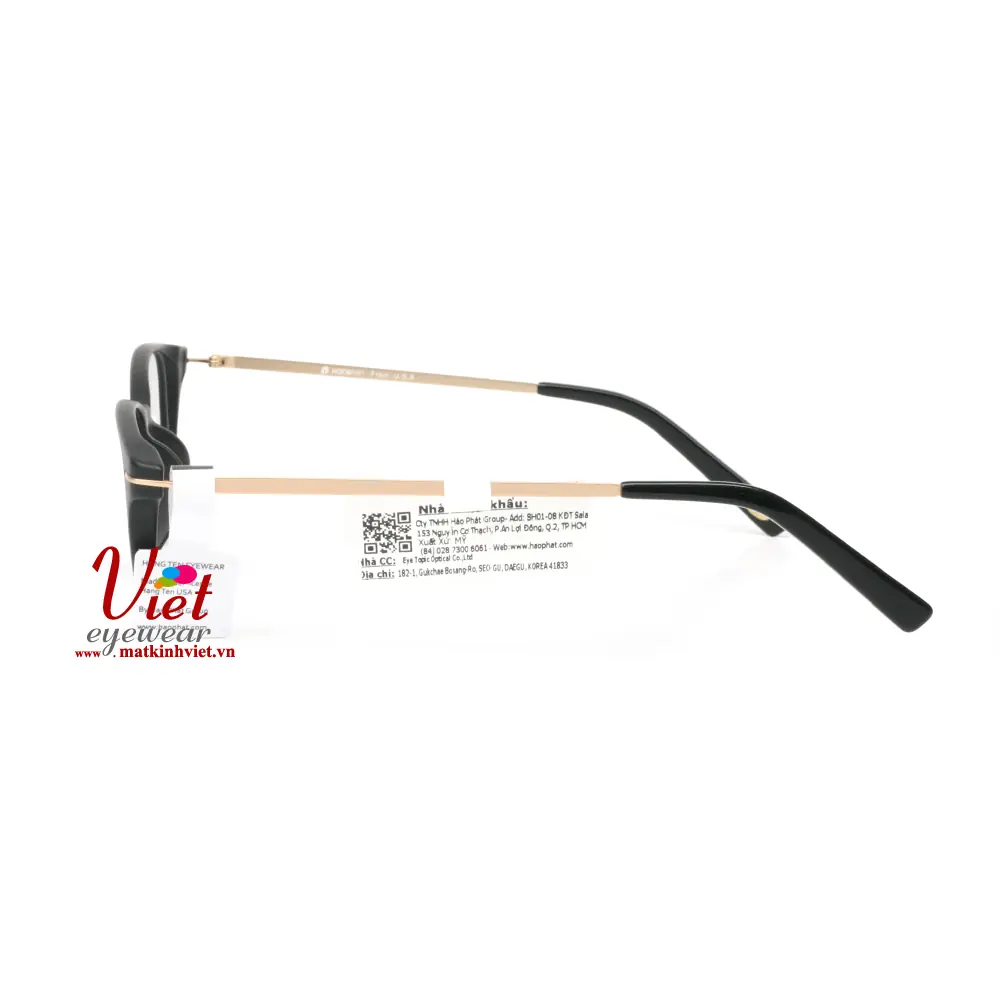 Gọng kính HANGTEN HT80113 C2
