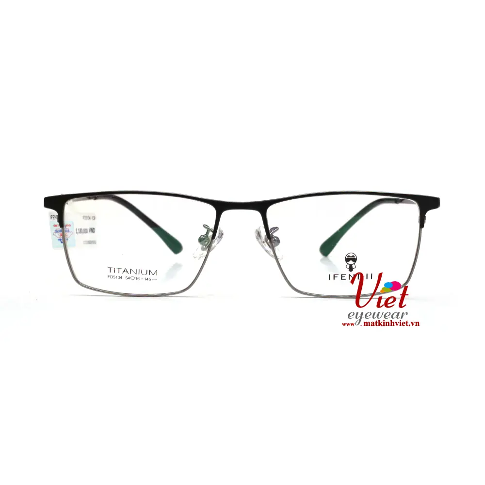 Gọng kính IFendiI IFD5134 C95