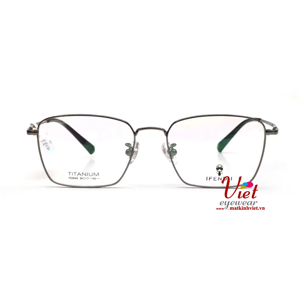 Gọng kính IFendiI IFD5045 C3
