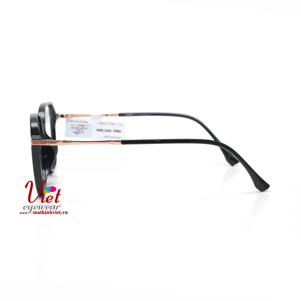 Gọng kính LEWSI LW2201 C1