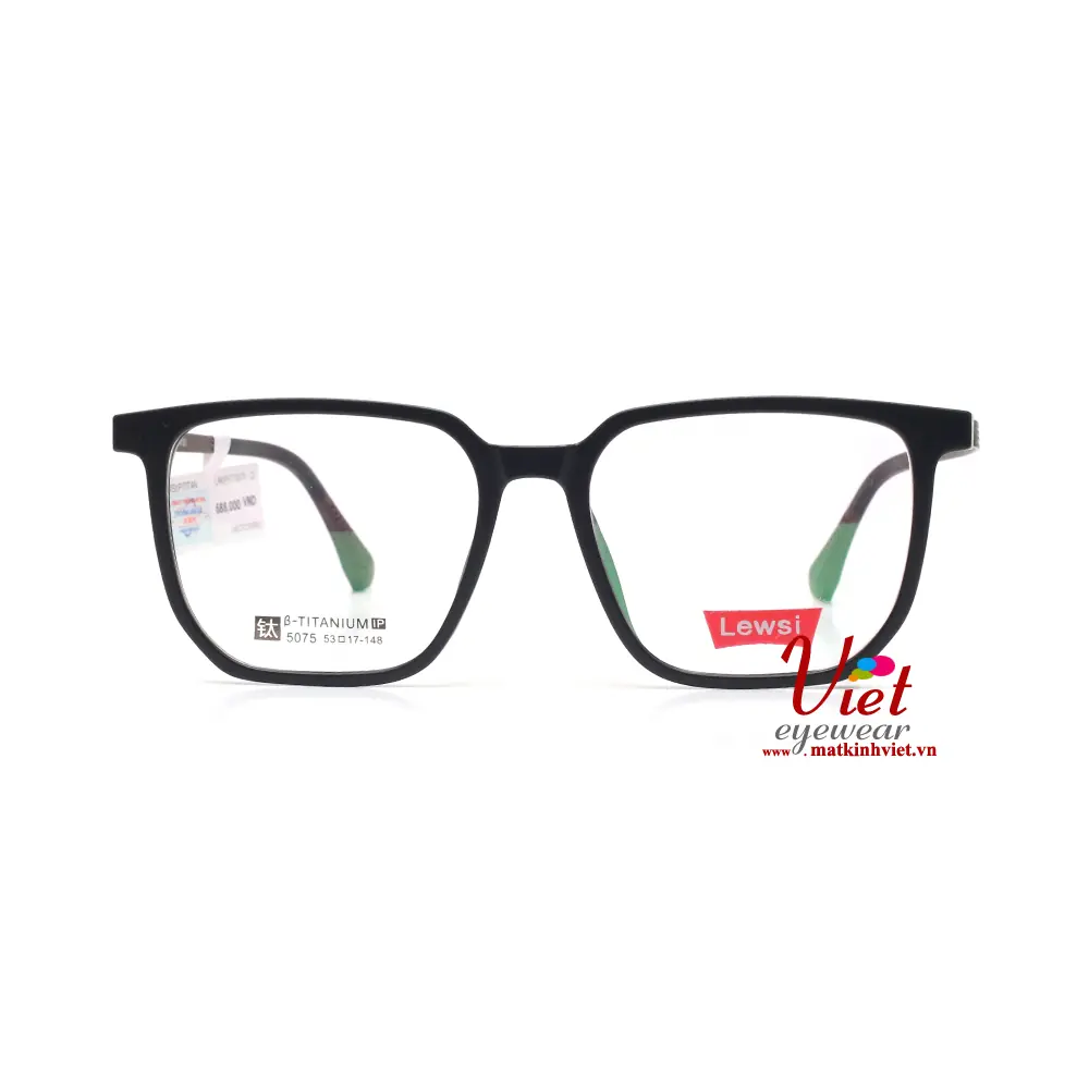 Gọng kính LEWSI LW5075 C2