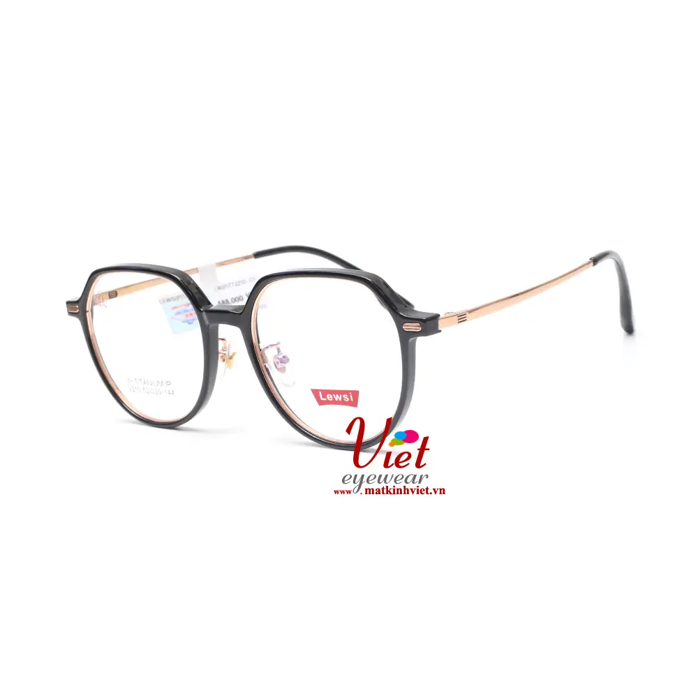 Gọng Kính LEWSI LW2210 C1